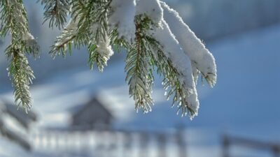 Ordu Valiliği, ilimizin iç kesimlerinde etkili olan kar yağışı ve