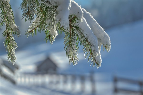 Ordu Valiliği, ilimizin iç kesimlerinde etkili olan kar yağışı ve