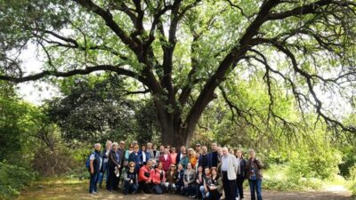 Üsküdar Belediyesi’nin Validebağ Korusu için geliştirdiği hak temelli ve katılımcı
